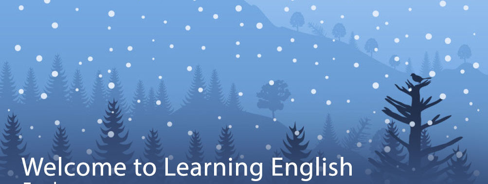 Welcome to Learning English with Engleze
